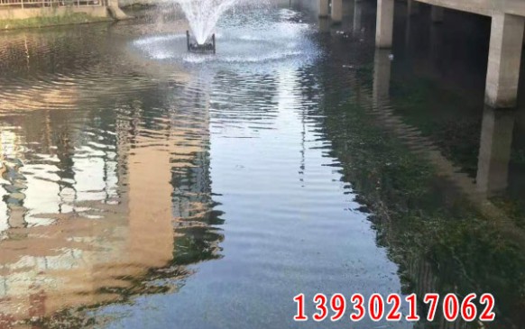 沉水植物施工及效果展示