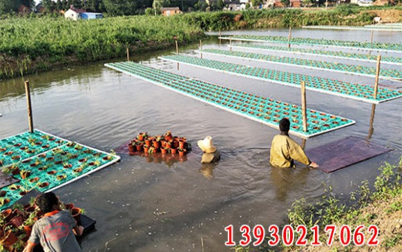 湖北钟祥市河道治理